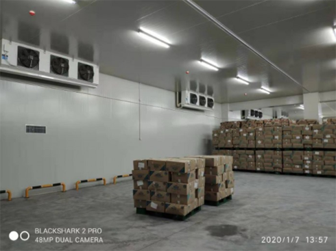 食品羞羞视频网址安装 食品羞羞视频网址安装