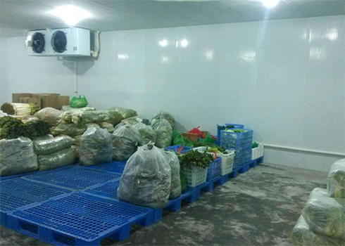 果蔬保鲜冷藏库建造 果蔬保鲜冷藏库建造