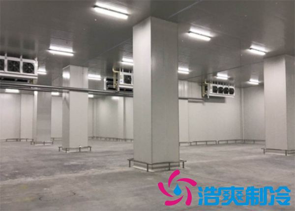 建造小型羞羞视频网址造价费用需要投资多少费用？