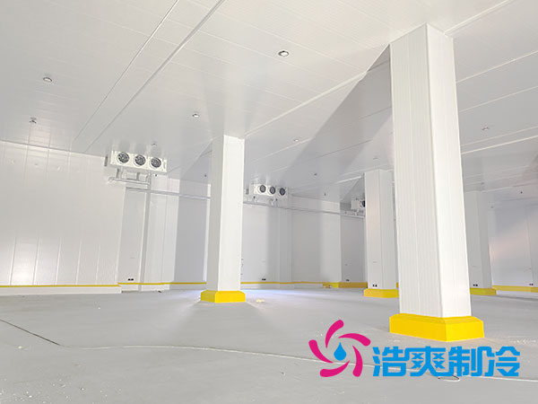 上海低温冷冻库建造厂家-羞羞网站在线播放制冷