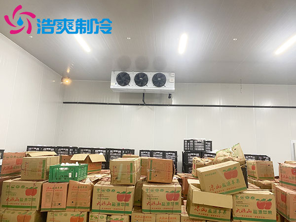 保鲜羞羞视频网址建造成本